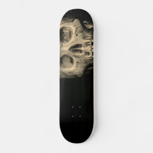 LV Skull Skateboard