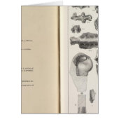 LXVIII Vultur umbrosus (Front)