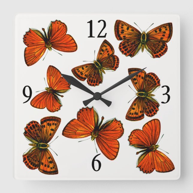 Lycaena virgaureae, The Scarce Copper Butterfly Square Wall Clock (Front)