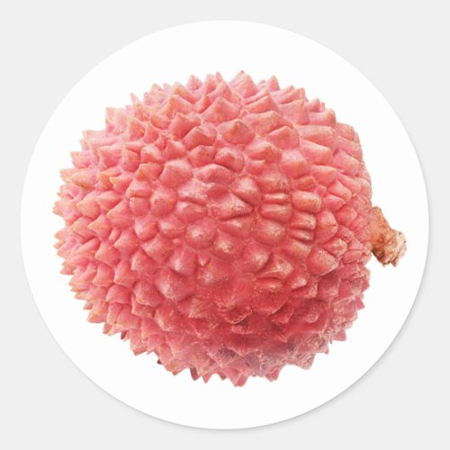 Lychee fruit classic round sticker