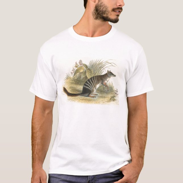 Lydekker - Banded Ant-Eater - Numbat T-Shirt (Front)