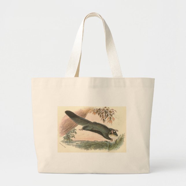 Lydekker - Squirrel Flying Phalanger/Possum Large Tote Bag (Front)