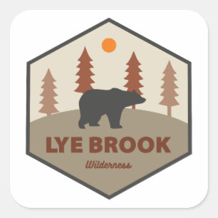 Lye Brook Wilderness Vermont Bear Square Sticker