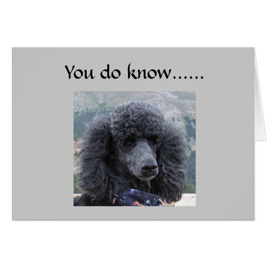 LYING IS UNACCEPTABLE=40th HUMOR Cards (Front Horizontal)