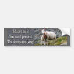 Lying Sheep Bumper Sticker at Zazzle