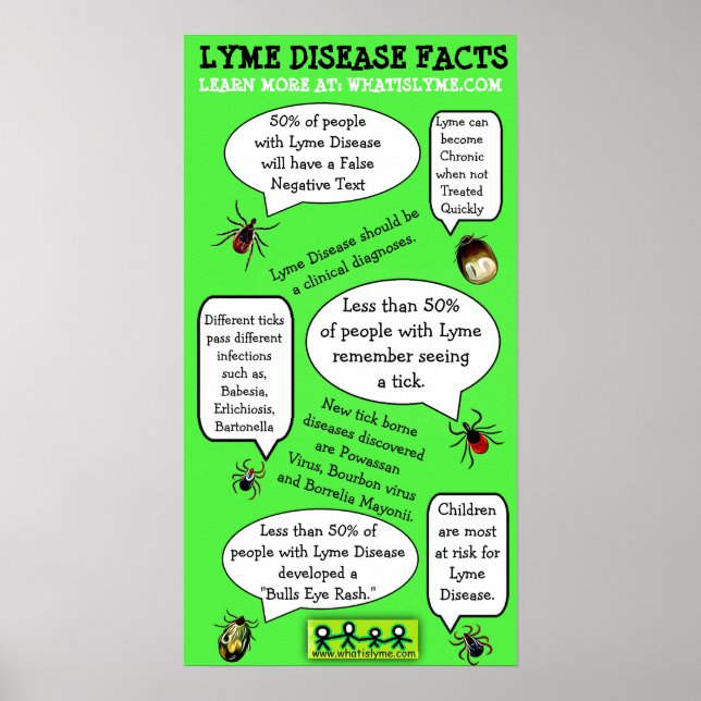 Lyme Disease  Awareness Educational Facts Poster (Front)