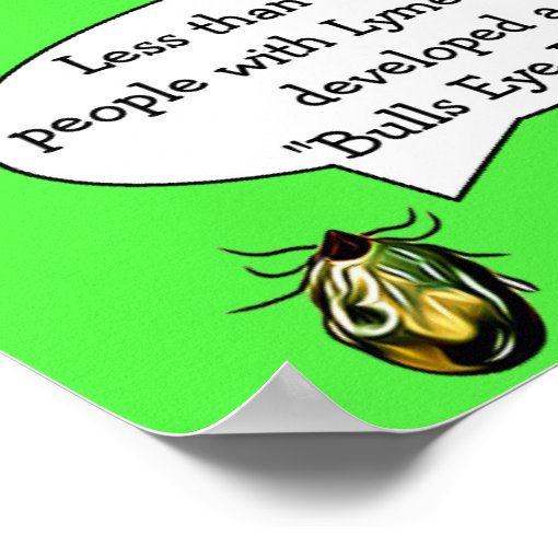 Lyme Disease Awareness Educational Facts Poster Zazzle