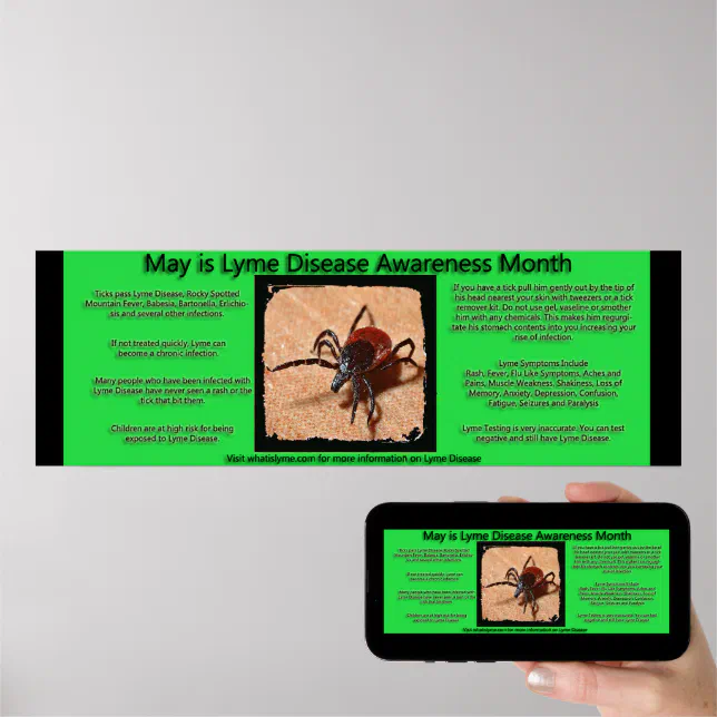 Lyme Disease Awareness Facts Poster Zazzle