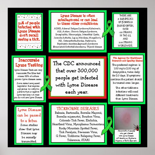 Lyme Disease Awareness Poster