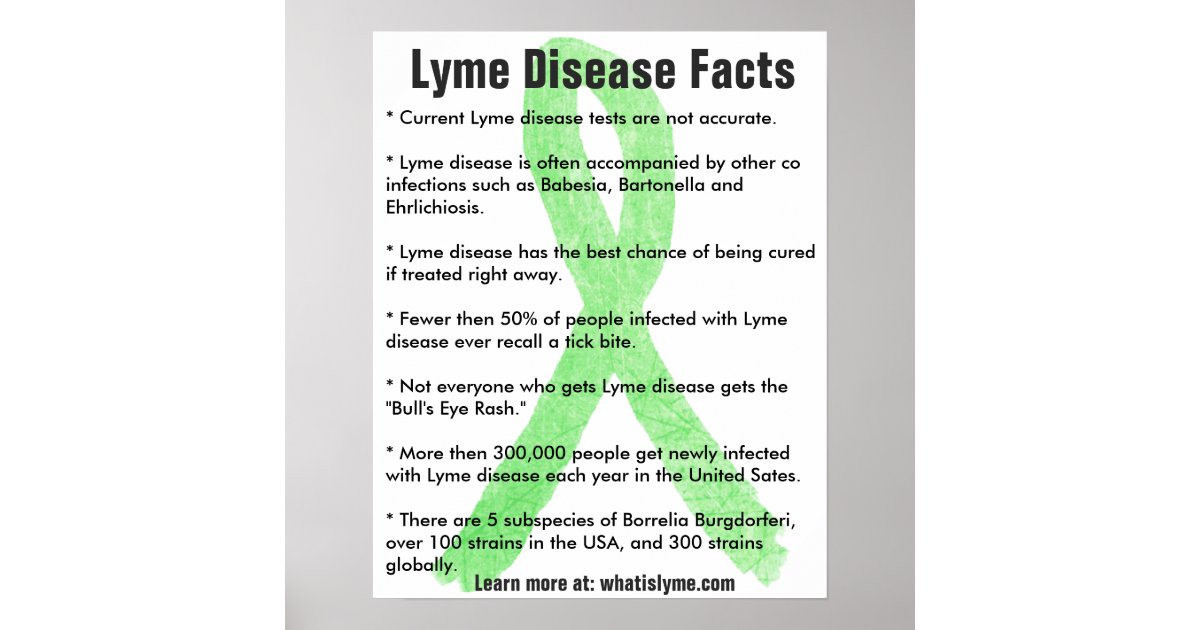 Lyme Disease Facts Educational Poster Zazzle