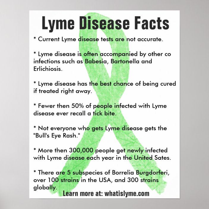 Lyme Disease Facts Educational Poster Zazzle