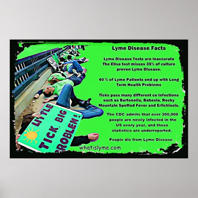 Lyme Disease Facts Poster (Front)
