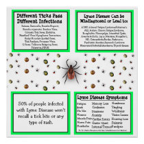 Lyme disease Information Poster