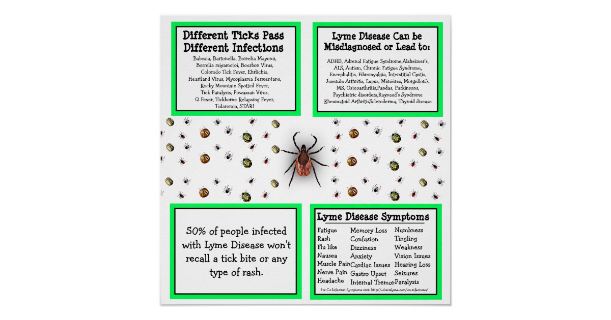 Lyme disease Information Poster | Zazzle