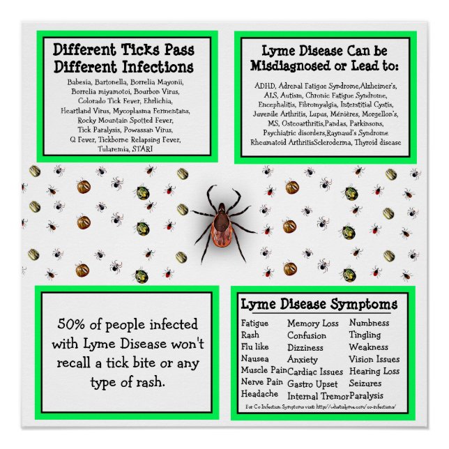 Lyme disease Information Poster (Front)