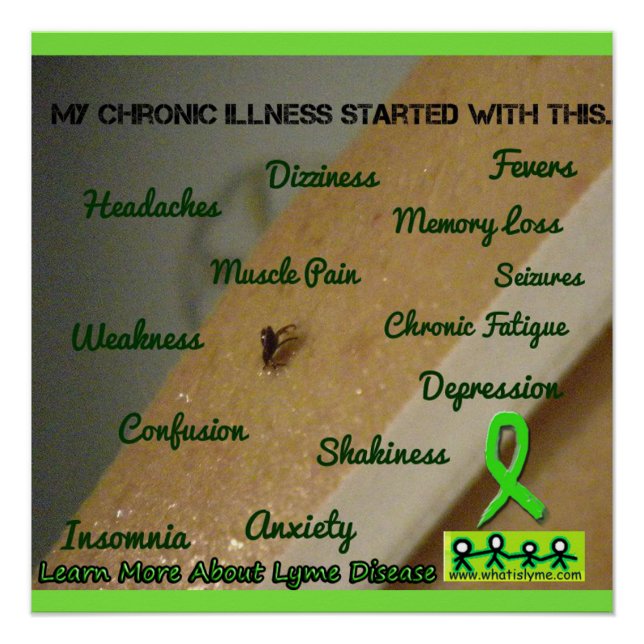Lyme Disease Symptoms and Embedded Tick Poster (Front)