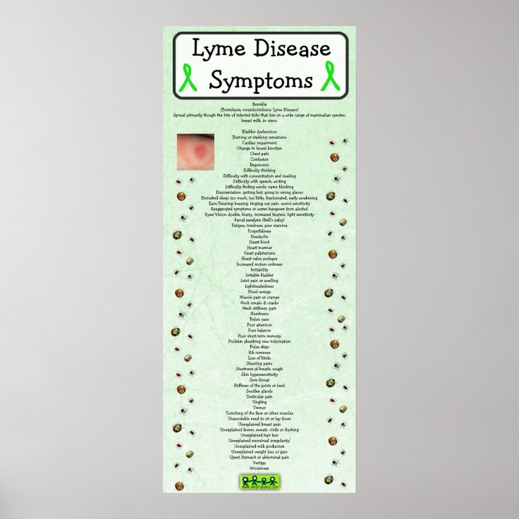 Lyme Disease Symptoms Chart Poster Educational Zazzle