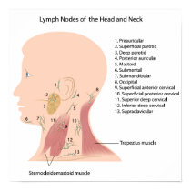 lymph nodes of the head and neck poster