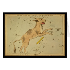 Lynx and Telescopium Herschilii Cards