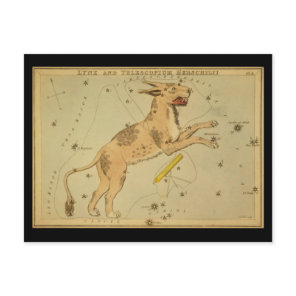 Lynx and Telescopium Herschilii Postcard