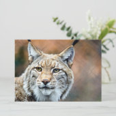 Lynx Bobcat Wildlife Predator Cat (Standing Front)