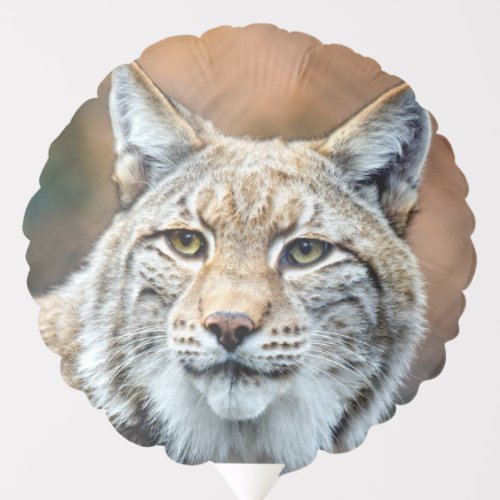 Lynx Bobcat Wildlife Predator Cat Balloon