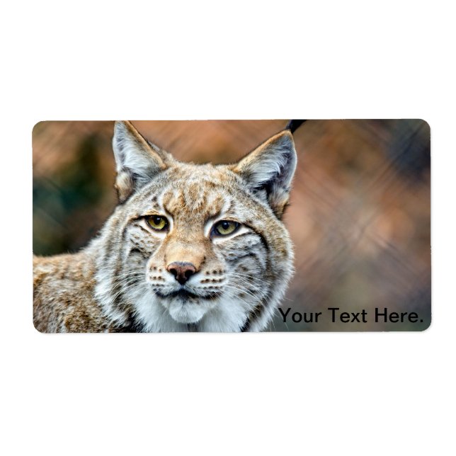 Lynx Bobcat Wildlife Predator Cat Label (Front)
