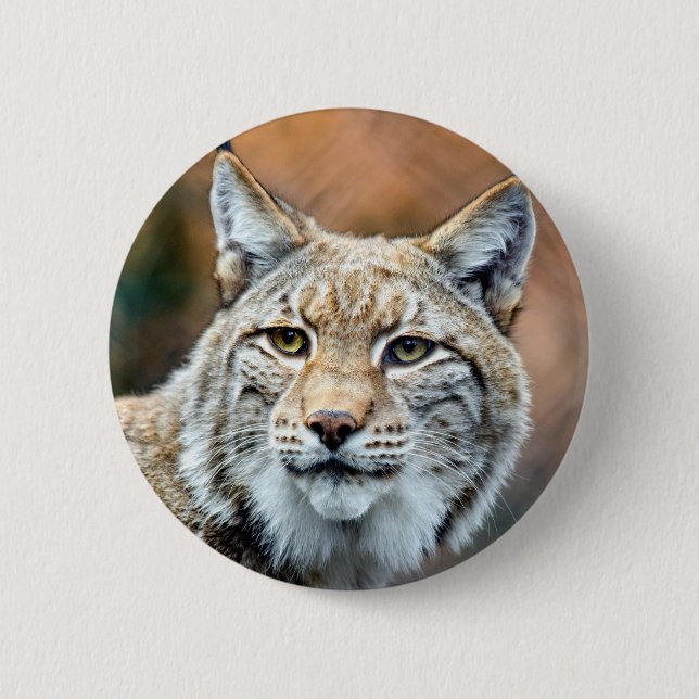 Lynx Bobcat Wildlife Predator Cat Pinback Button (Front)