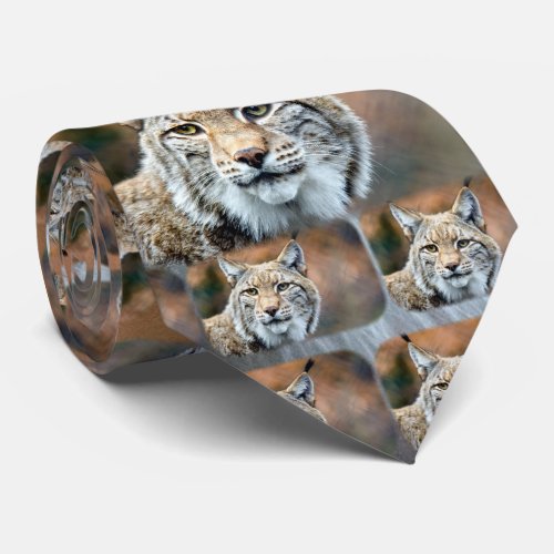 Lynx Bobcat Wildlife Predator Cat Tie