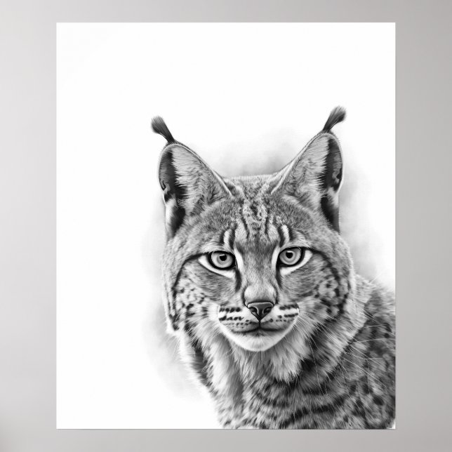 Lynx Cat Sketch Portrait  Black white Poster (Front)
