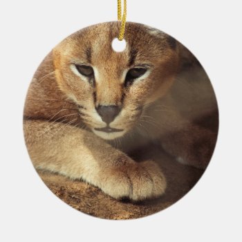 Lynx Ceramic Ornament by CustomizeYourWorld at Zazzle
