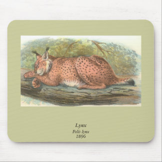 Lynx, Felis lynx Mouse Pad