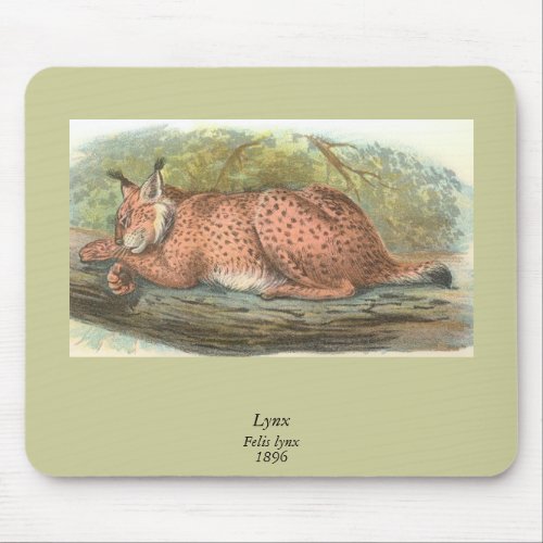 Lynx Felis lynx Mouse Pad