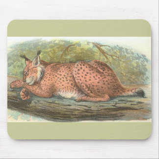 Lynx, Felis lynx Mouse Pad