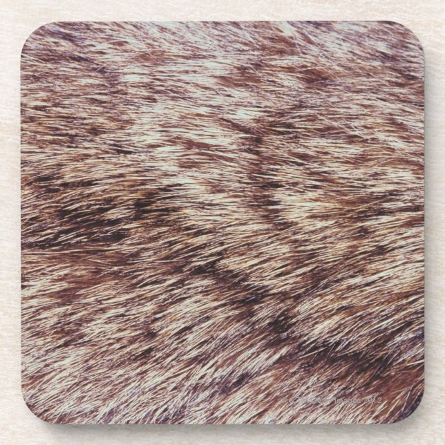 Lynx fur beverage coaster (Front)