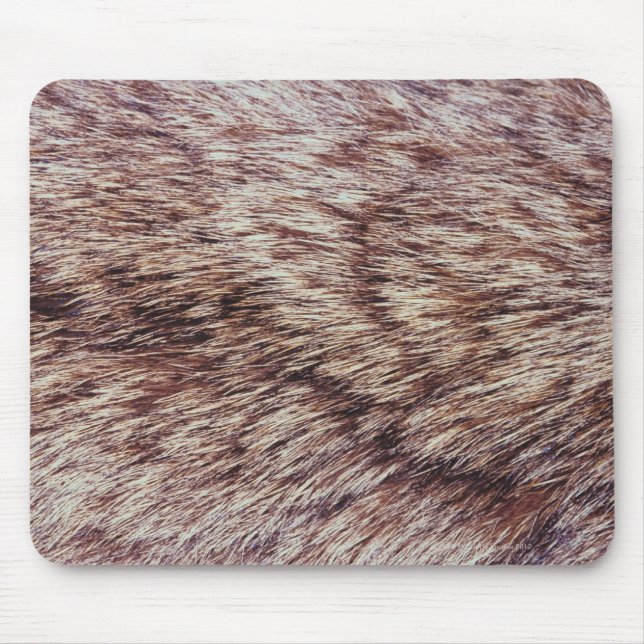 Lynx fur mouse pad (Front)