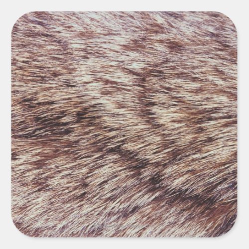 Lynx fur square sticker
