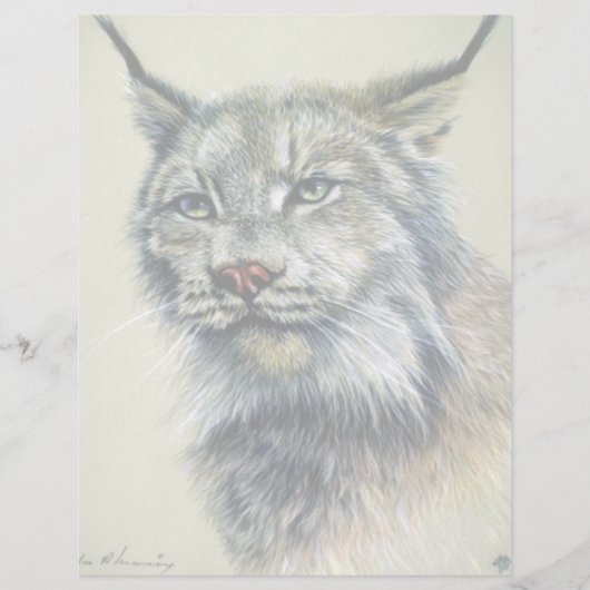 Lynx (head study) (Front)
