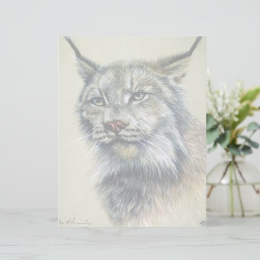 Lynx (head study) (Standing Front)