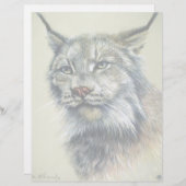 Lynx (head study) (Front/Back)