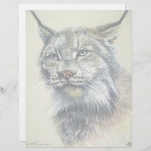 Lynx (head study) (Front/Back)