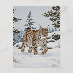 Lynx in Fulufjället National Park Sweden Travel Postcard