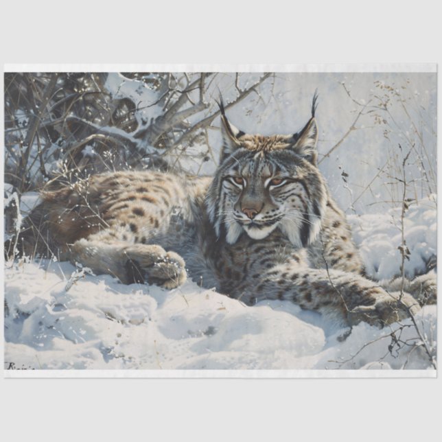 Lynx in the Snow Decoupage Tissue Paper (Front)