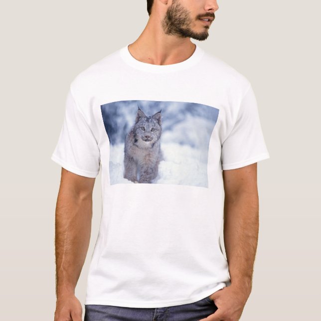 Lynx in the snow in the foothills T-Shirt (Front)