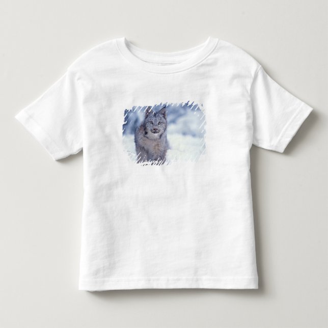 Lynx in the snow in the foothills toddler t-shirt (Front)