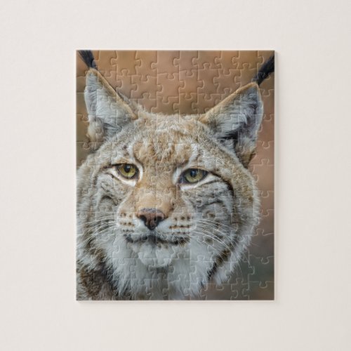 Lynx Jigsaw Puzzle