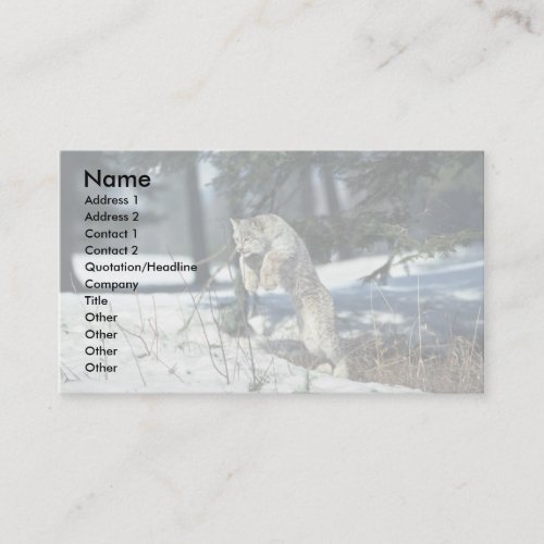 Lynx leaping, bounding on snow business card template