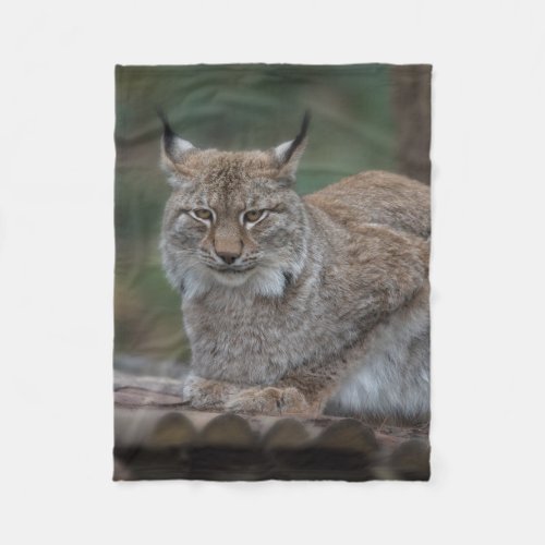 Lynx Looking At You Fleece Blanket