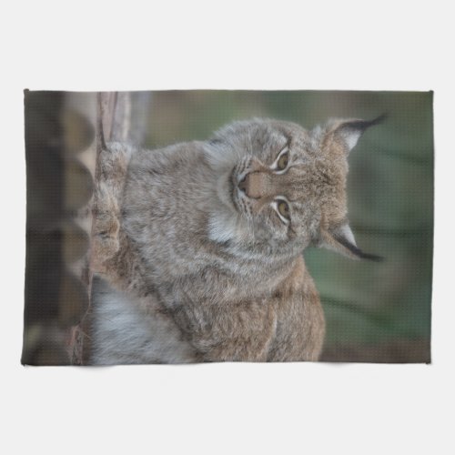 Lynx Looking At You Fleece Blanket Kitchen Towel