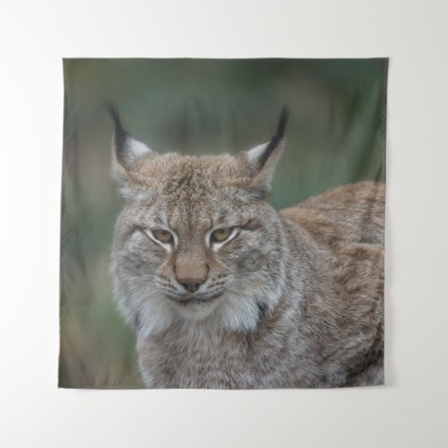 Lynx Looking At You Tapestry